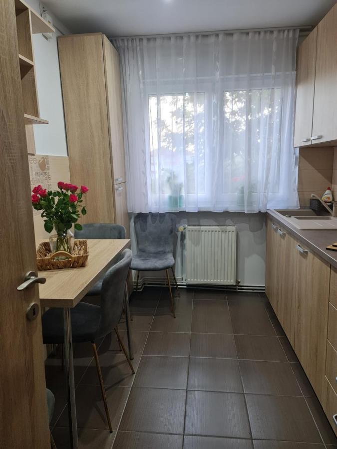 Apartament Modern Cristina&Jessica Медіаш Екстер'єр фото
