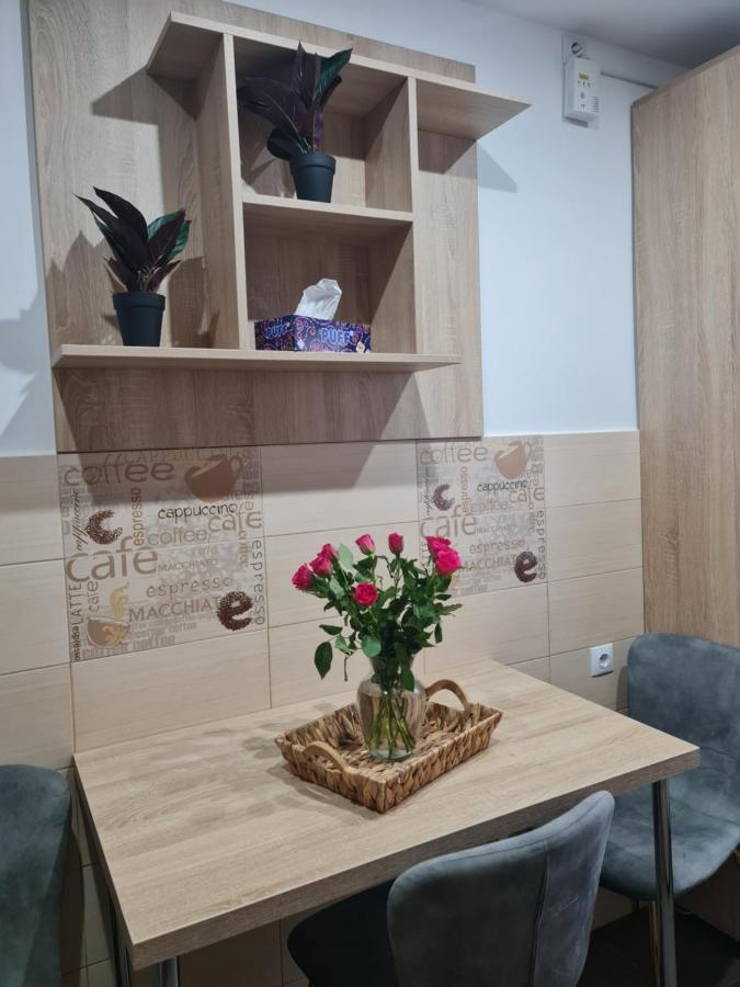 Apartament Modern Cristina&Jessica Медіаш Екстер'єр фото