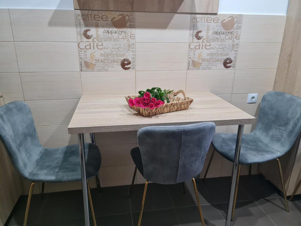 Apartament Modern Cristina&Jessica Медіаш Екстер'єр фото