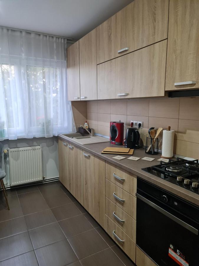 Apartament Modern Cristina&Jessica Медіаш Екстер'єр фото