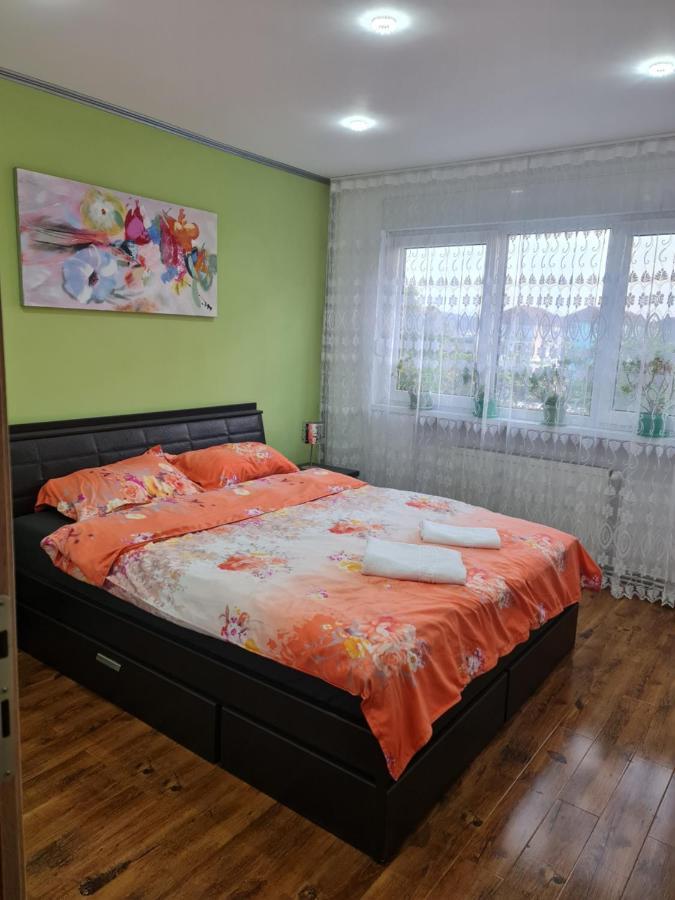 Apartament Modern Cristina&Jessica Медіаш Екстер'єр фото