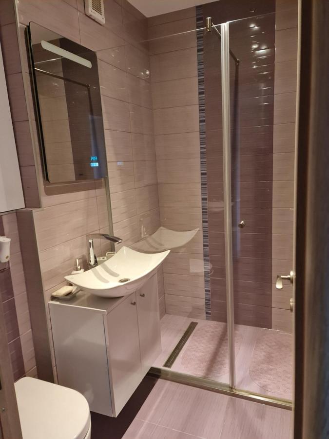 Apartament Modern Cristina&Jessica Медіаш Екстер'єр фото
